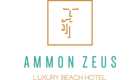 ammonzeusLOGO25